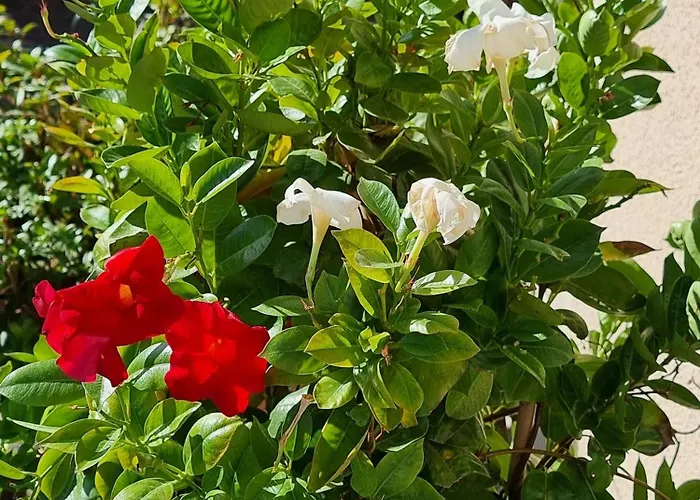 阿玛杜尔酒店 2*